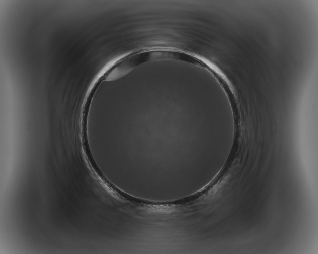 X0000084521333200703021347