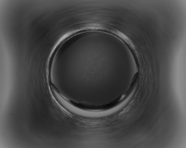 X0000084521334200703021347