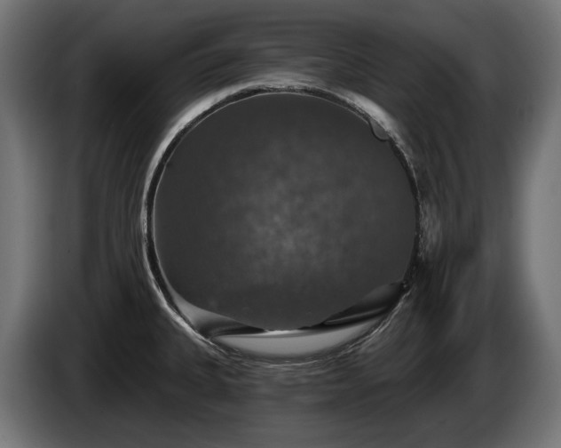 X0000084521335200703021347