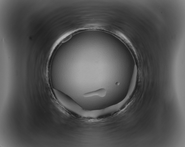 X0000084521336200703021347