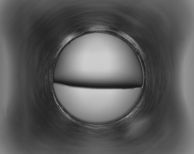 X0000084521337200703021347