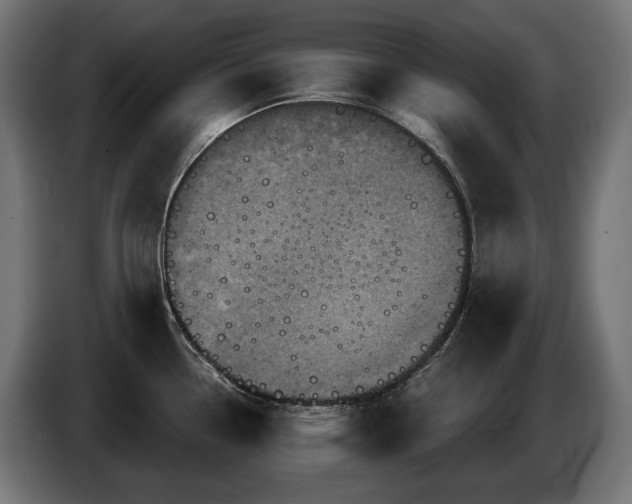 X0000084521338200703021347