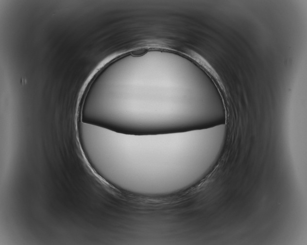 X0000084521339200703021347