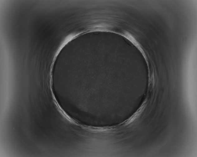 X0000084521341200703021347