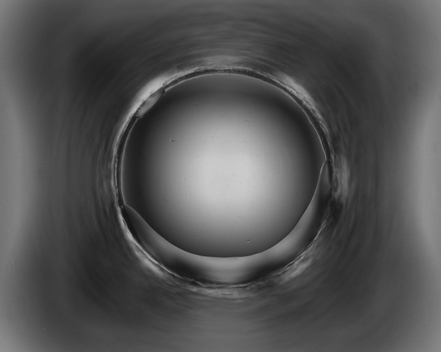 X0000084521342200703021347