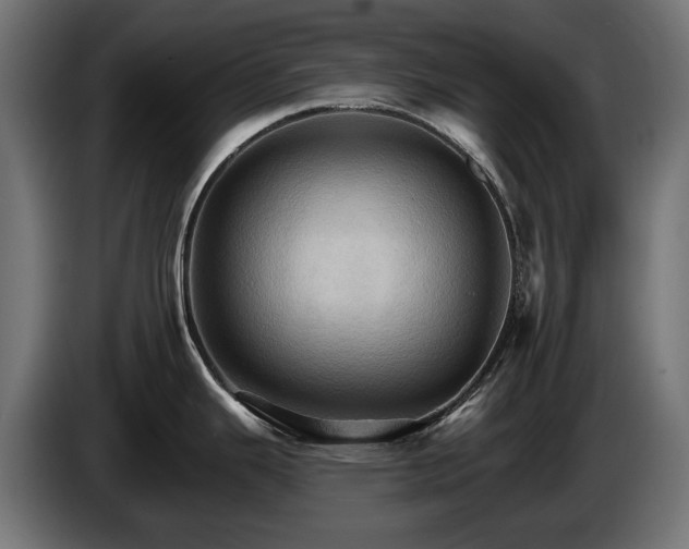 X0000084521343200703021347