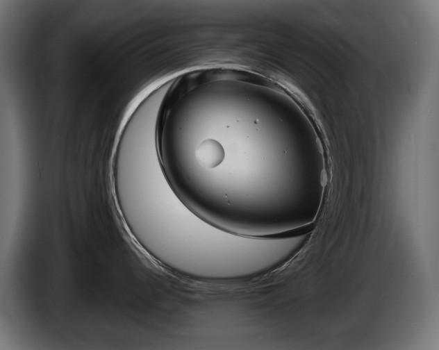 X0000084521344200703021347