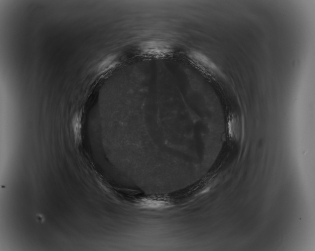 X0000084521347200703021346