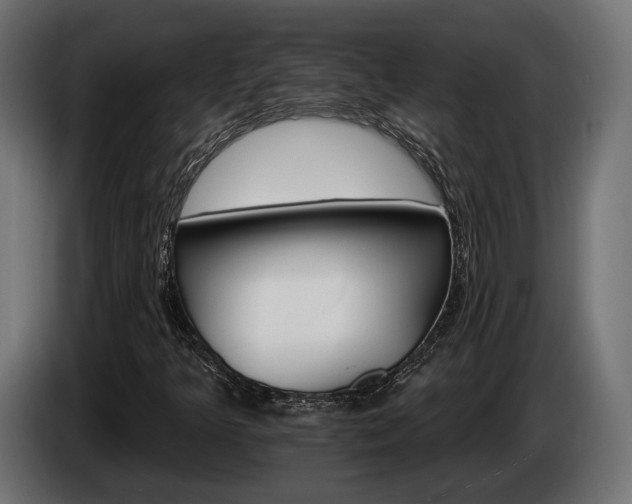 X0000084521349200703021346