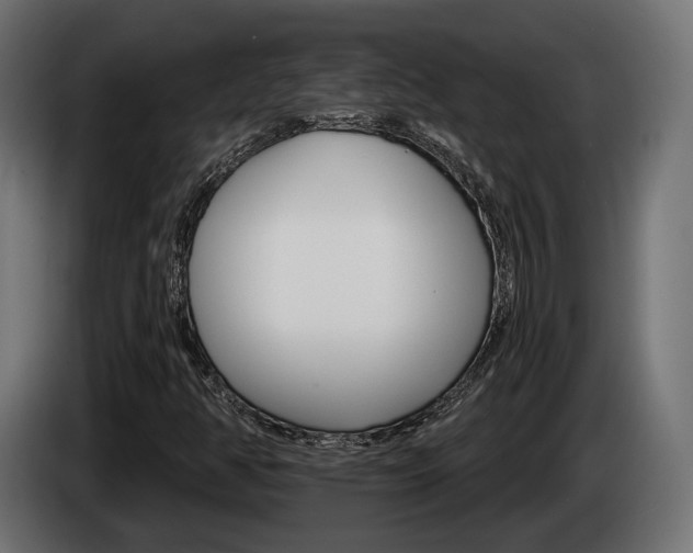 X0000084521350200703021346