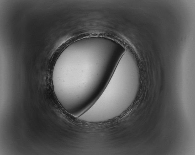 X0000084521352200703021346