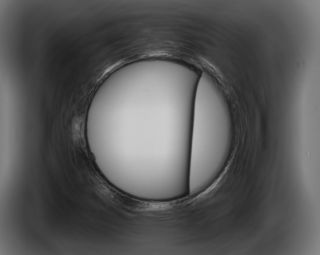 X0000084521353200703021346