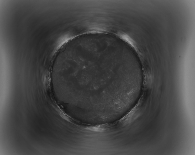 X0000084521355200703021346