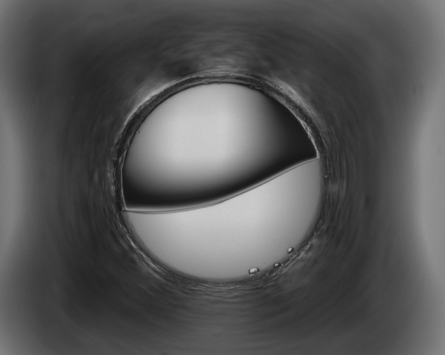 X0000084521356200703021346