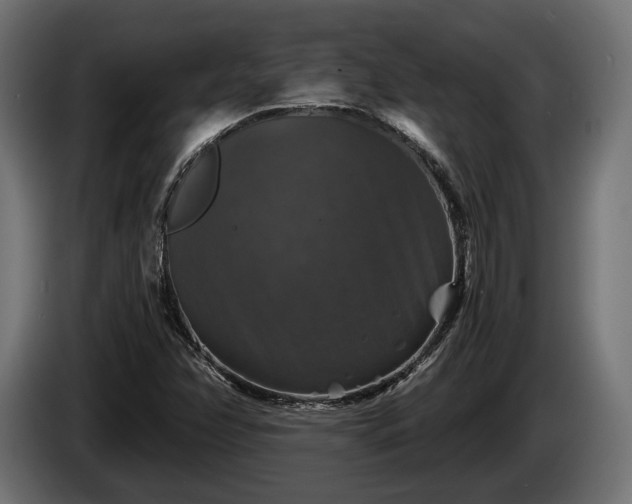 X0000084521358200703021346