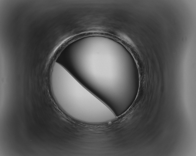 X0000084521360200703021346