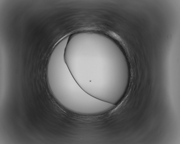 X0000084521361200703021346