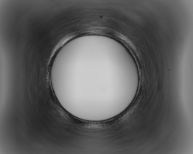 X0000084521362200703021346