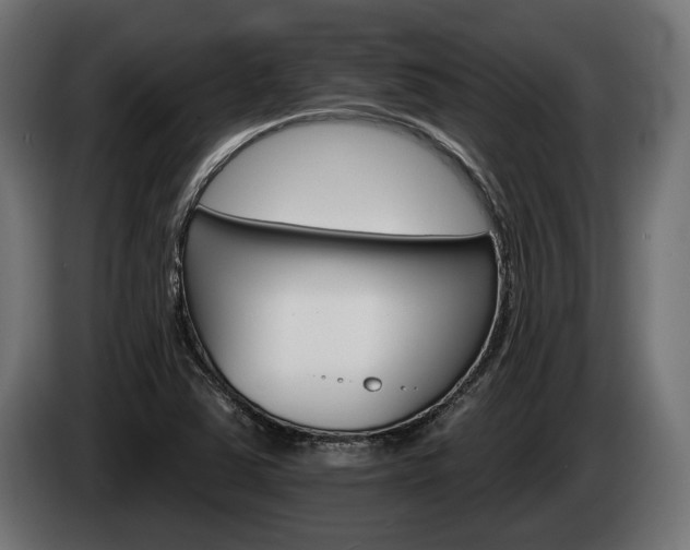 X0000084521363200703021346