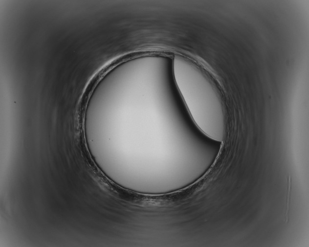 X0000084521364200703021346