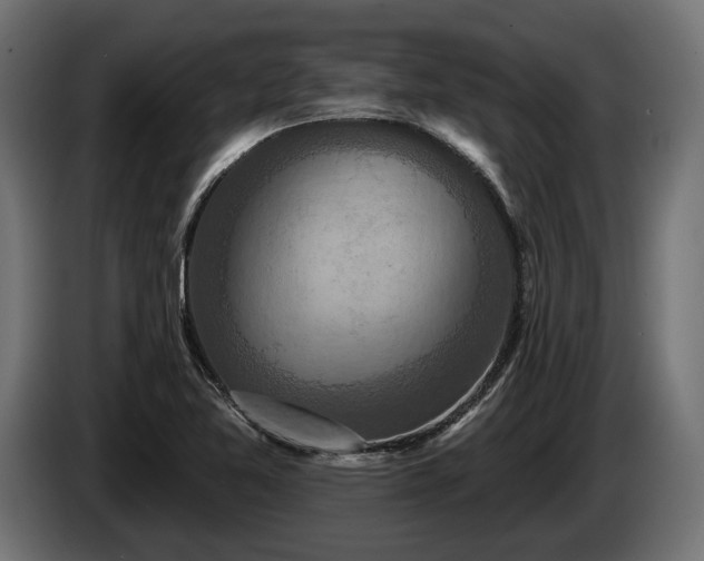 X0000084521365200703021346