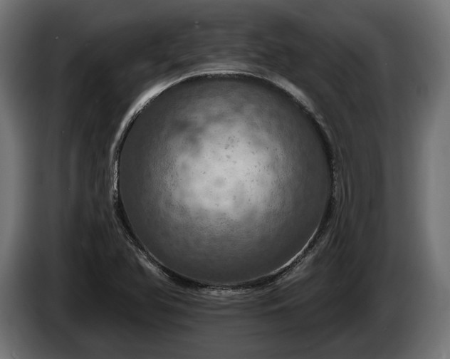 X0000084521366200703021346