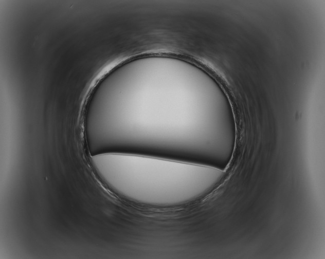 X0000084521367200703021346