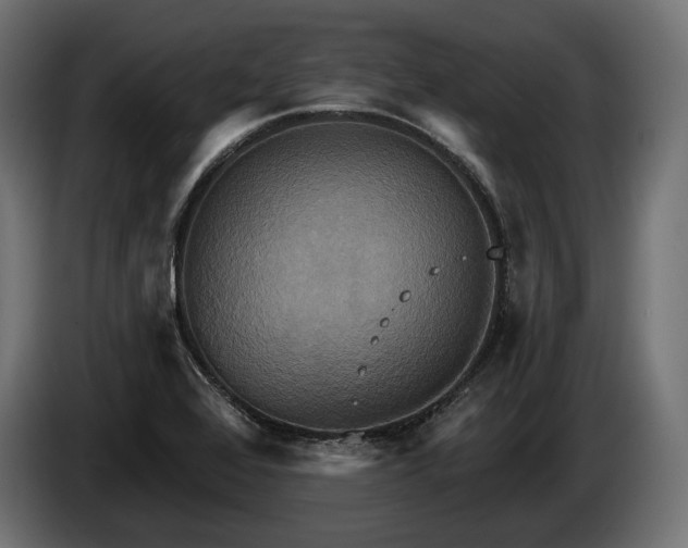 X0000084521368200703021346