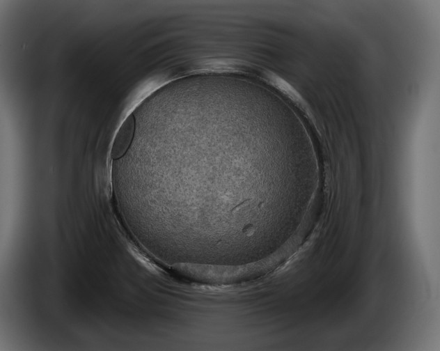 X0000084521370200703021346