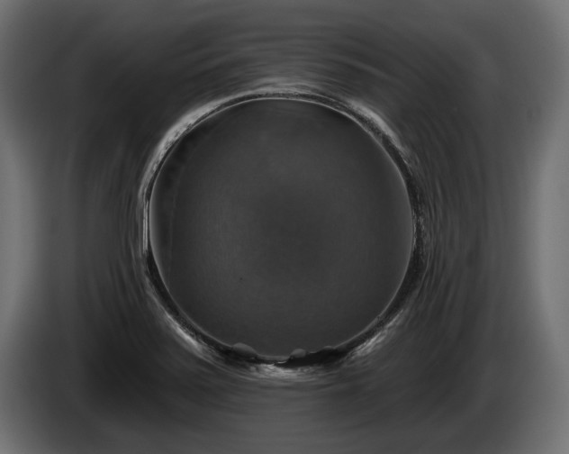 X0000084521371200703021346