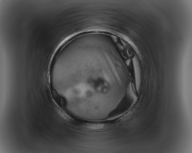 X0000084521372200703021346