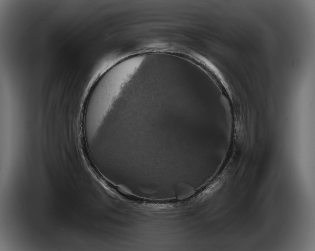 X0000084521373200703021346