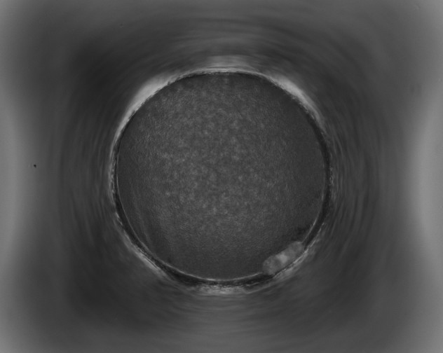 X0000084521374200703021346