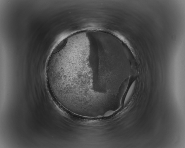 X0000084521375200703021346