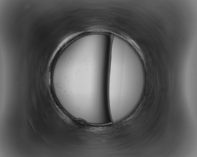 X0000084521376200703021346