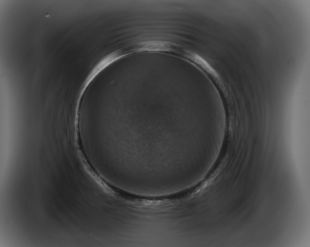 X0000084521378200703021346