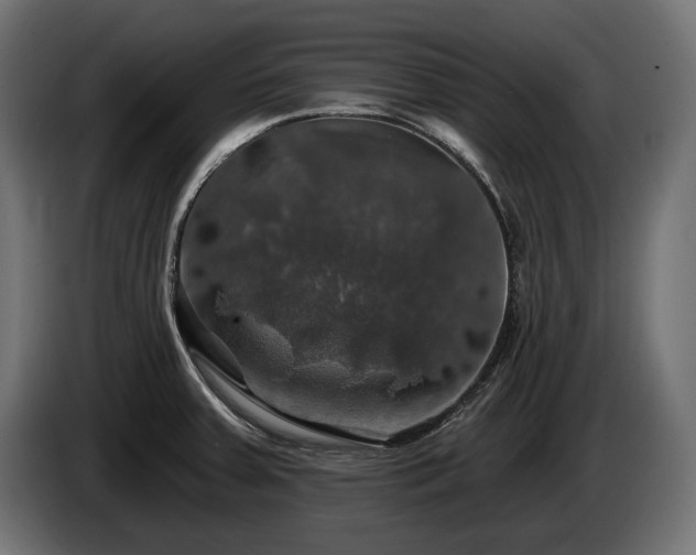 X0000084521379200703021346