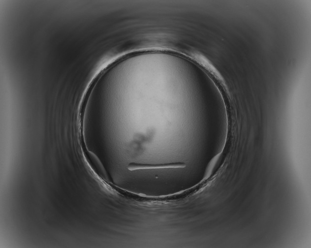 X0000084521380200703021346