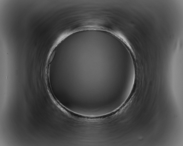 X0000084521381200703021346