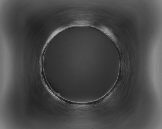 X0000084521382200703021346