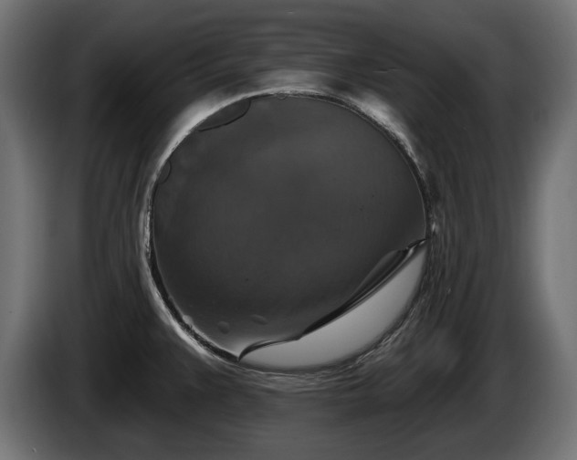 X0000084521383200703021346