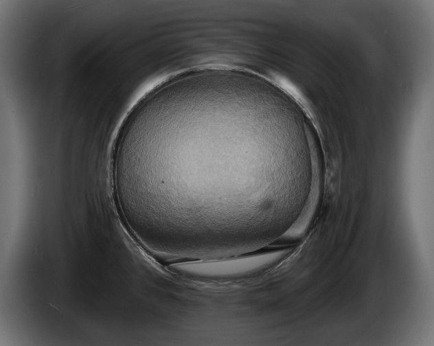 X0000084521384200703021346