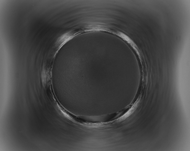 X0000084521385200703021346