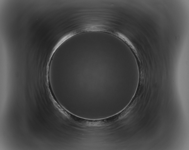 X0000084521386200703021346