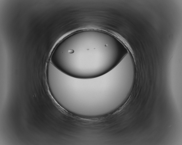 X0000084521388200703021346