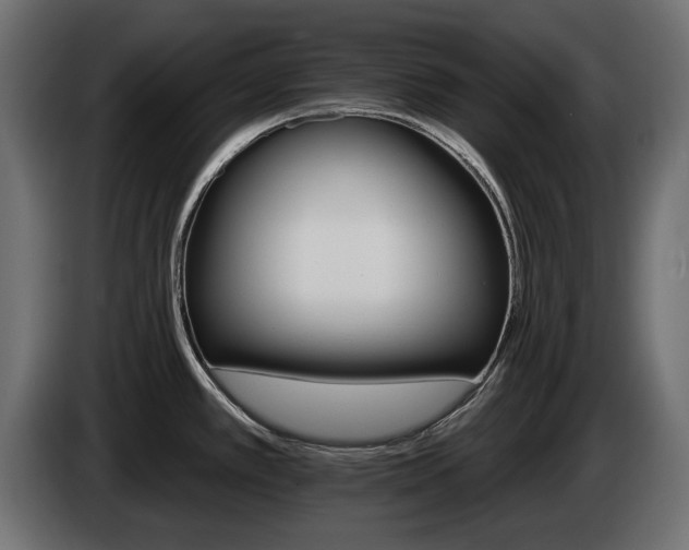 X0000084521389200703021346