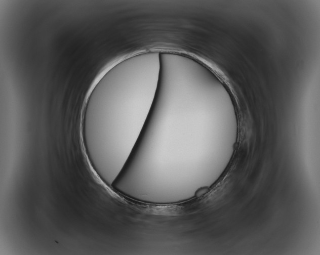 X0000084521390200703021346