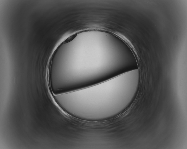 X0000084521391200703021346