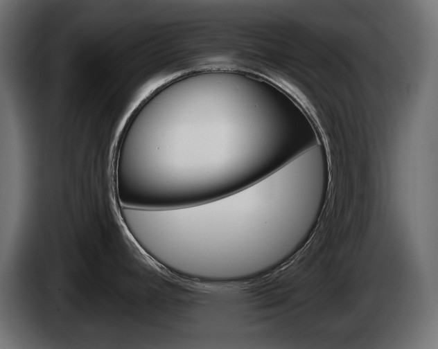 X0000084521392200703021346