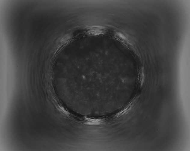 X0000084521393200703021345